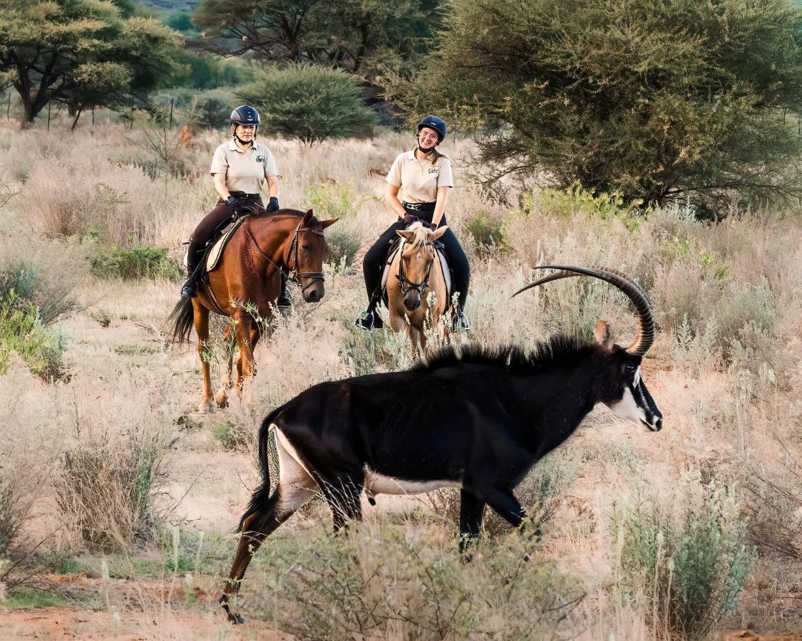 Gabus Safari Lodge Otavi Eksteriør bilde